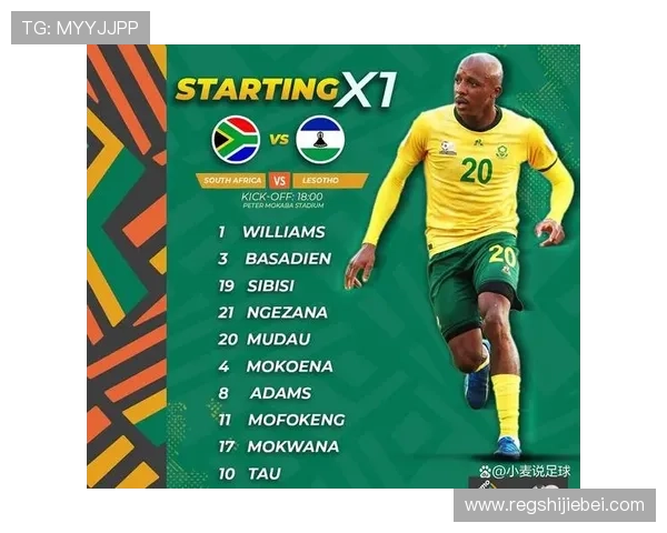 南非世界杯冠军：冠军球队的战术布局与比赛策略分析