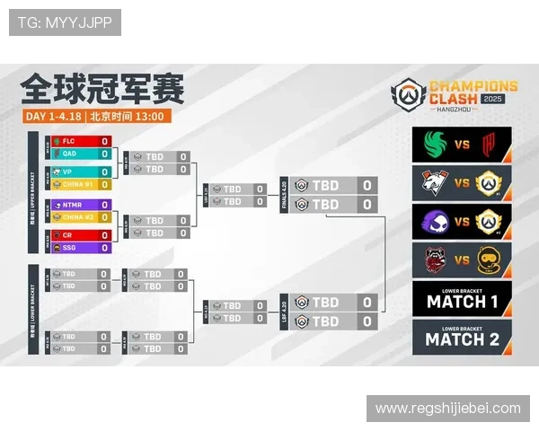 守望先锋世界杯：赛事规则详解与观赛指南全攻略