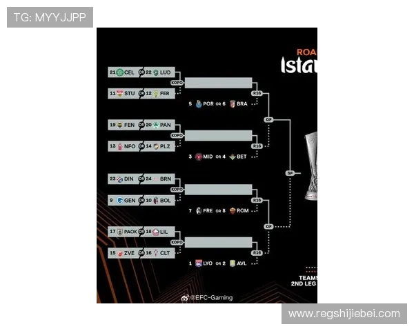 2024年世界杯预选赛欧洲赛区最新积分榜分析帮助球迷了解晋级形势